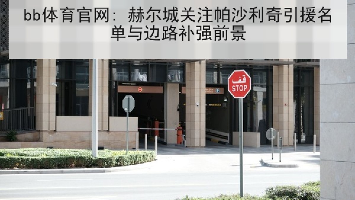 bb体育官网: 赫尔城关注帕沙利奇引援名单与边路补强前景