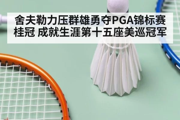 舍夫勒力压群雄勇夺PGA锦标赛桂冠 成就生涯第十五座美巡冠军