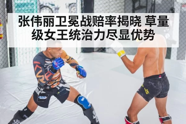 MMA fighter training